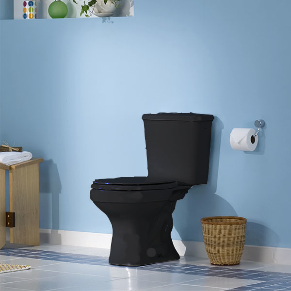 Vaso Sanitário para Caixa Acoplada Preto Saída Vertical Aspen Deca - Imagem 3